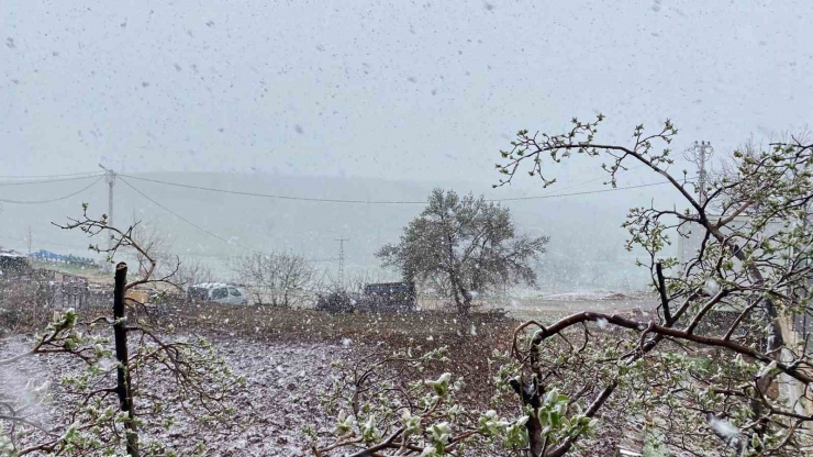 Diyarbakır’da Etkili Olan Kar Yağışı Çiftçiyi Hem Sevindirdi Hem De Korkuttu