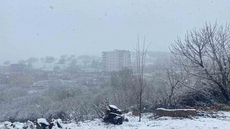 Diyarbakır’da Etkili Olan Kar Yağışı Çiftçiyi Hem Sevindirdi Hem De Korkuttu