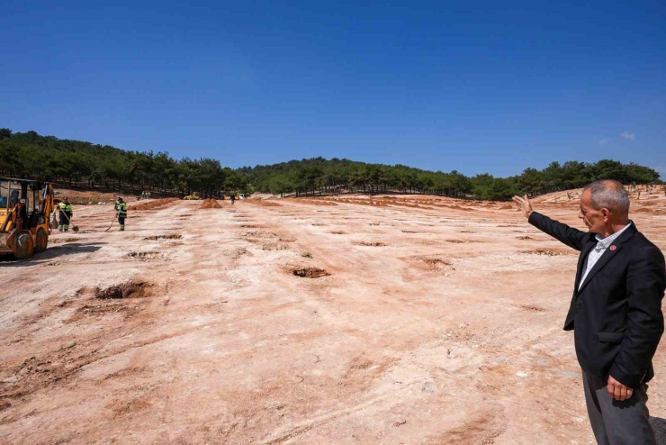 Şehitkamil’de 26. Orman İçin Hazırlıklar Tamamlandı