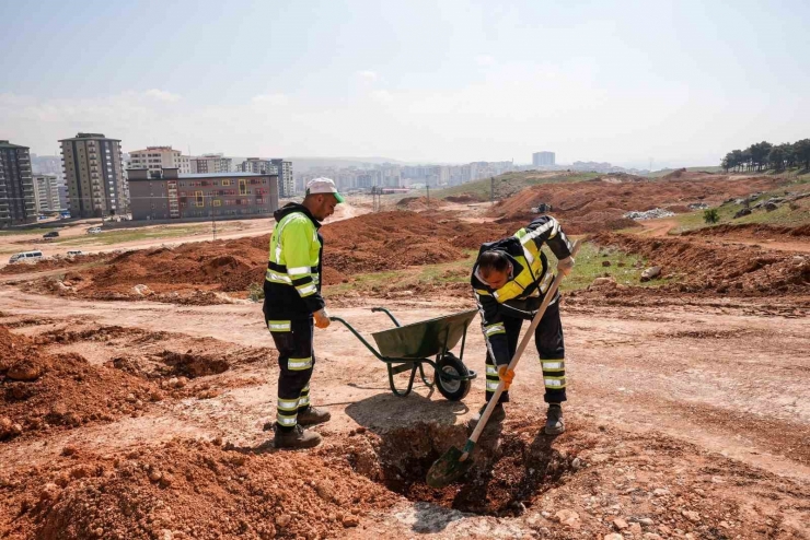 Şehitkamil’de 26. Orman İçin Hazırlıklar Tamamlandı