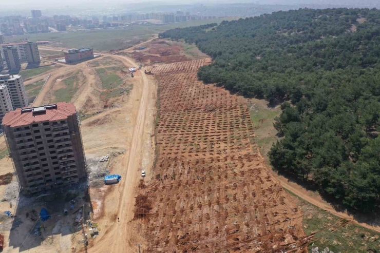 Şehitkamil’de 26. Orman İçin Hazırlıklar Tamamlandı