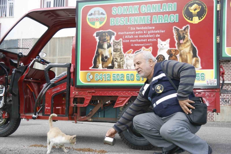 Hayvansever Oda Başkanı Sokak Canları İçin Ticari Aracı Ambulansa Çevirdi