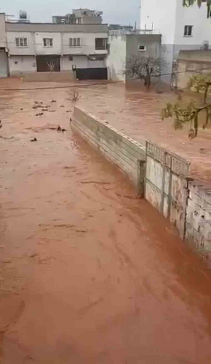 Şanlıurfa’da Sağanak Yağış Sele Neden Oldu