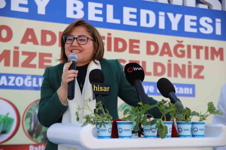 Gaziantep’te Çiftçiye 11 Milyon 500 Bin Adet Fide Dağıtıldı