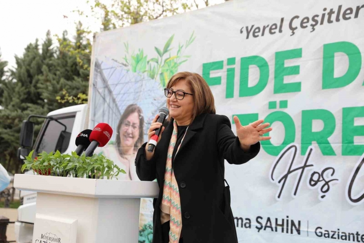 Gaziantep’te Çiftçilere 2 Milyon Adet Fide Desteği