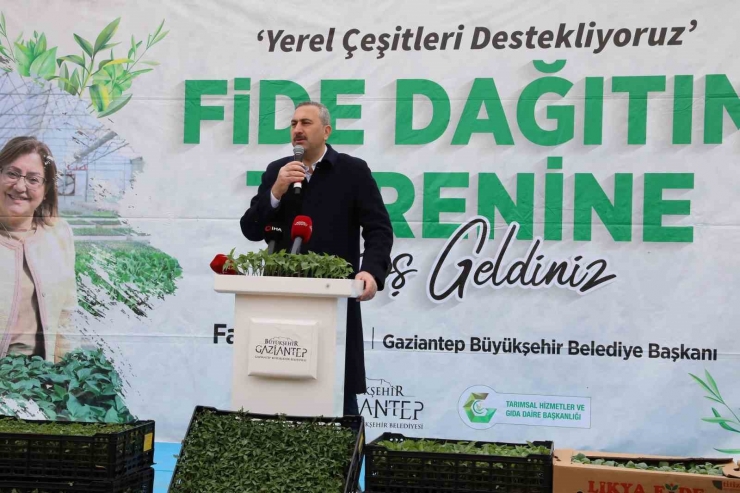 Gaziantep’te Çiftçilere 2 Milyon Adet Fide Desteği