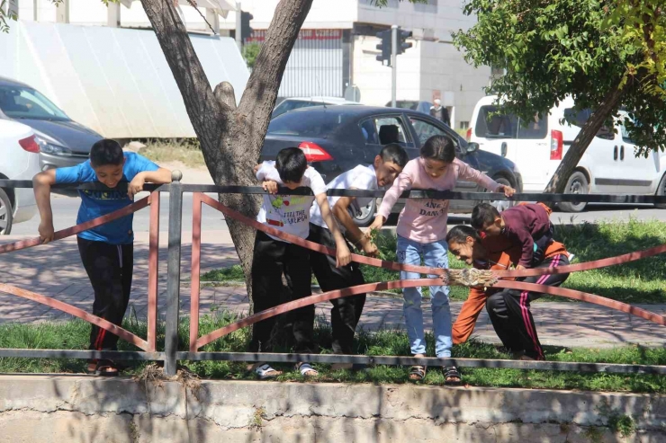 Çimle Besledikleri Kaplumbağayı Hayata Bağladılar