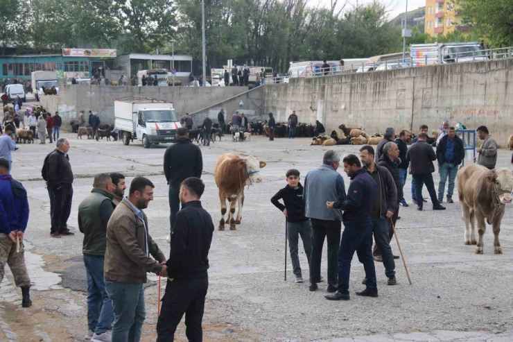 Et Fiyatında Düşüş Bekleniyor