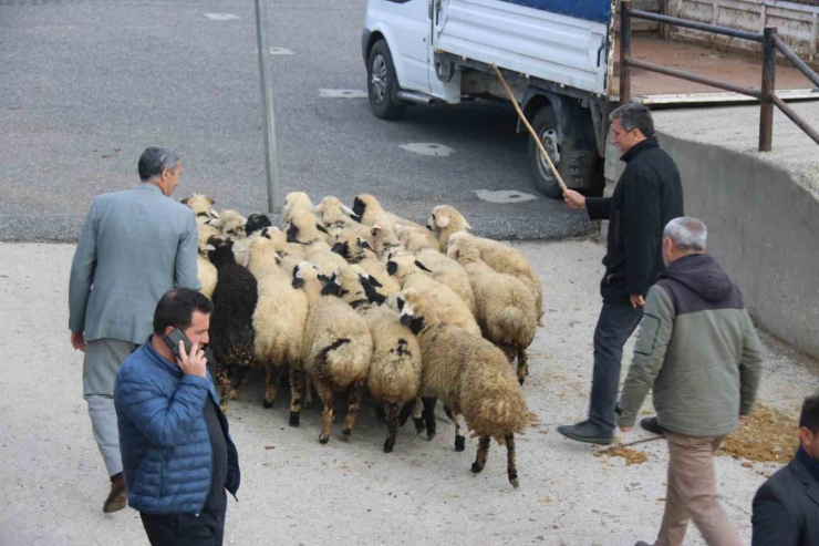 Et Fiyatında Düşüş Bekleniyor