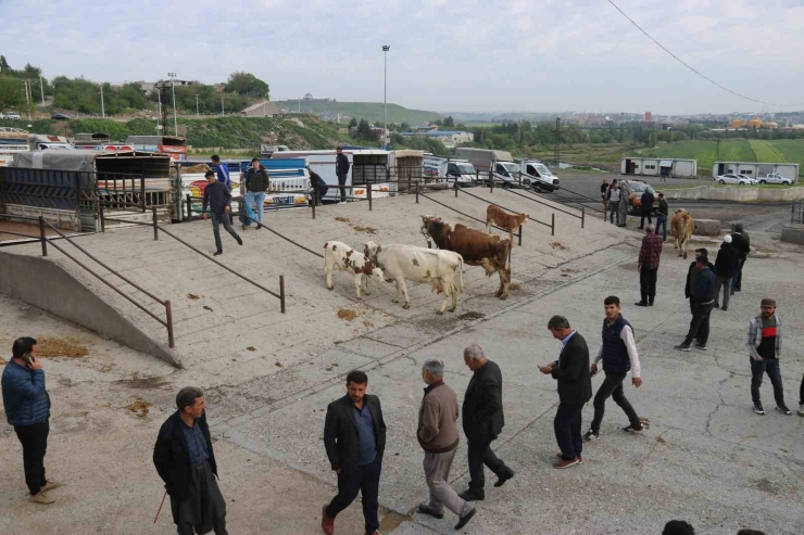 Et Fiyatında Düşüş Bekleniyor