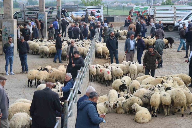 Et Fiyatında Düşüş Bekleniyor