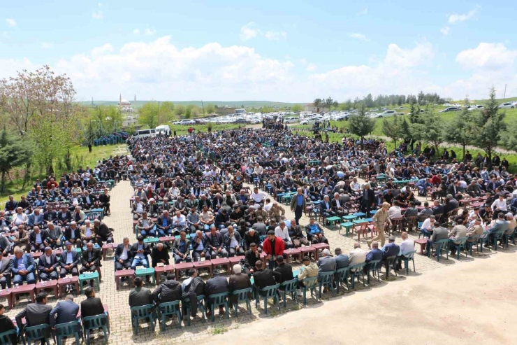 300 Torunlu Hamo Ağa’nın Oğluna Tam Destek