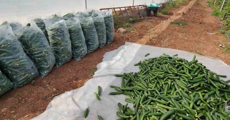 Eyyübiye Sera Kent’te Büyüme Öncesi Hazırlıklar Sürüyor