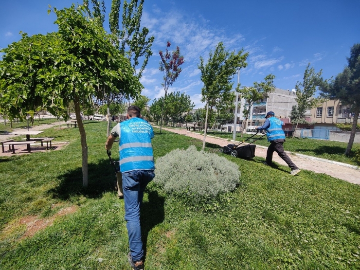 Eyyübiye’de Park Ve Yeşil Bilinci Gelişiyor