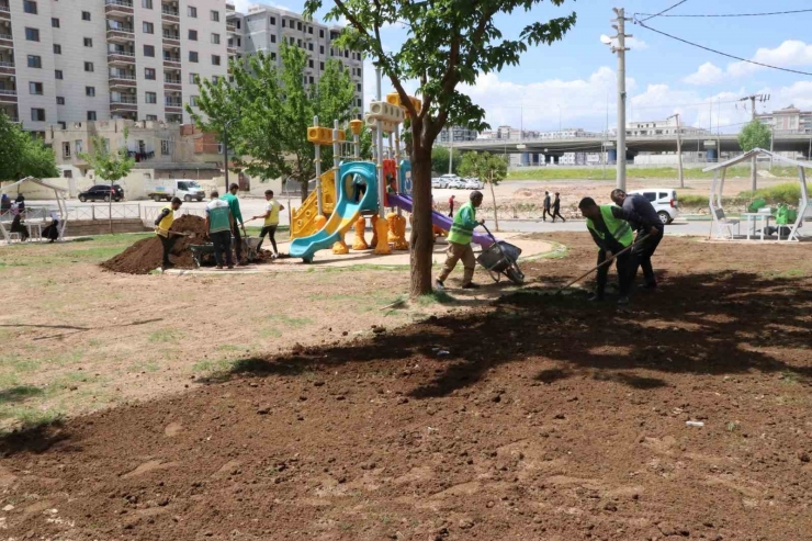 Haliliye’de Ağaçlandırma Çalışması