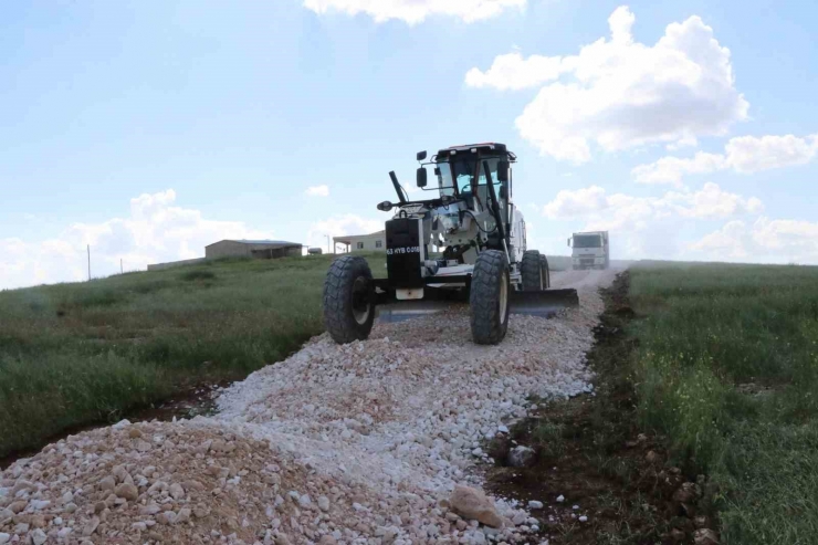 Haliliye’de Yol Çalışmaları Hummalı Bir Şekilde Devam Ediyor