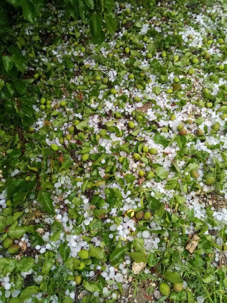 Malatya’da Ceviz Büyüklüğünde Dolu Yağdı