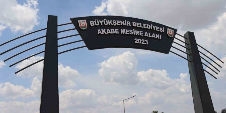 Şanlıurfa’ya Yeni Yeşil Alanlar Kazandırılıyor