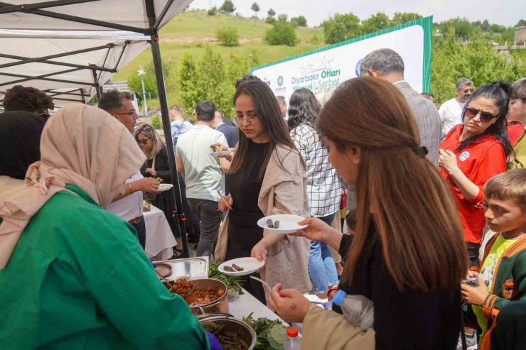 Diyarbakır Otları Ve Şerbet Festivali