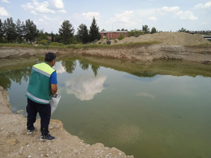 Adıyaman’da Haşarat İle Mücadelesi Devam Ediyor