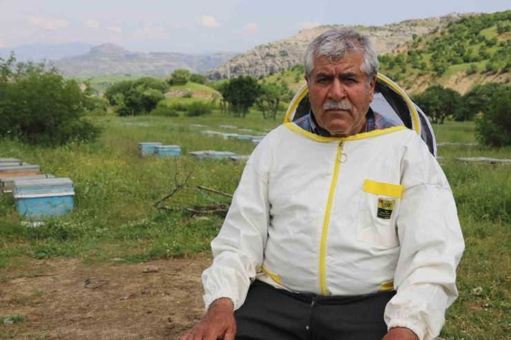 Aylardır Diyarbakır’da Olan Gezgin Arıcı 2,5 Ton Rekolte Bekliyor