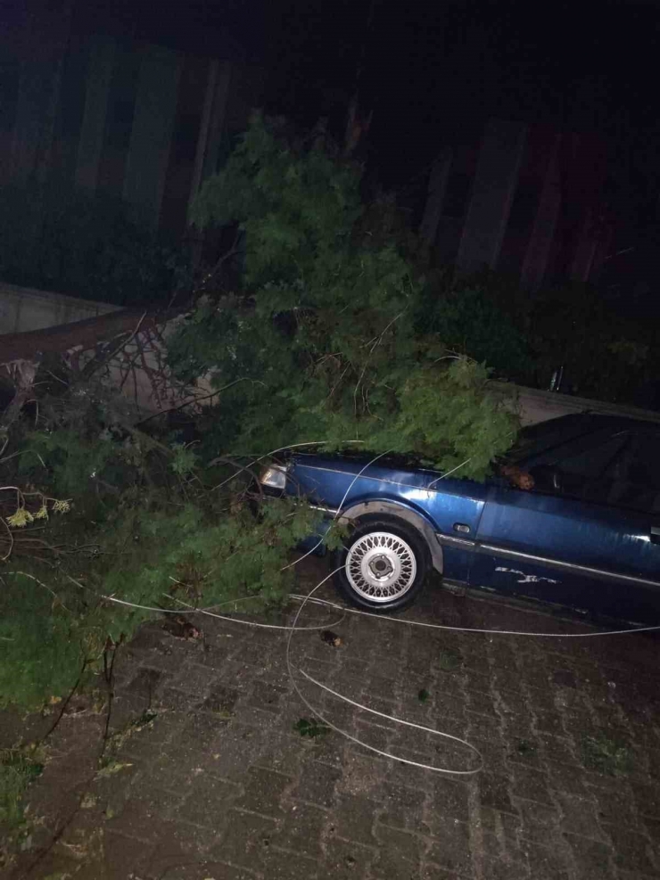 Ceylanpınar’da Dolu Hayatı Felç Etti