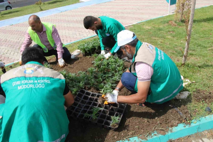 Haliliye’de Çiçekler Toprakla Buluşuyor