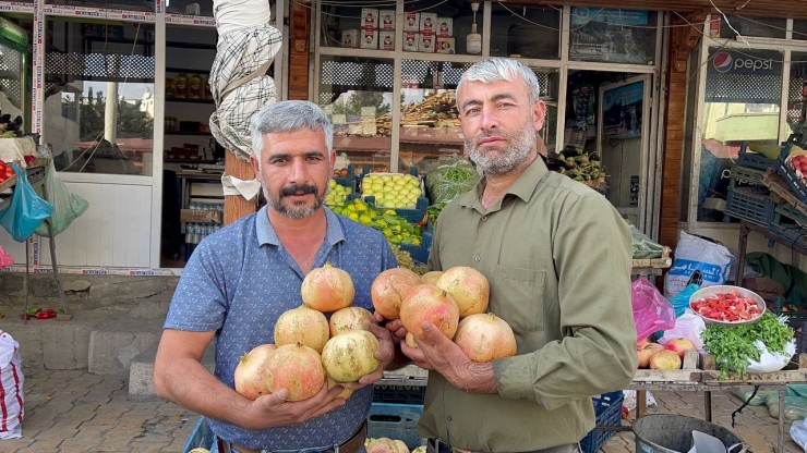 Avrupa Birliği’nden Suruç Narı Kararı