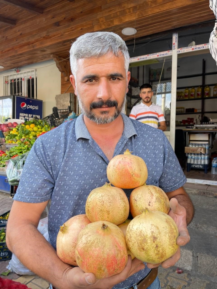 Avrupa Birliği’nden Suruç Narı Kararı