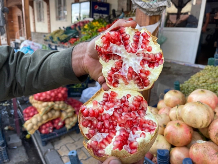 Avrupa Birliği’nden Suruç Narı Kararı