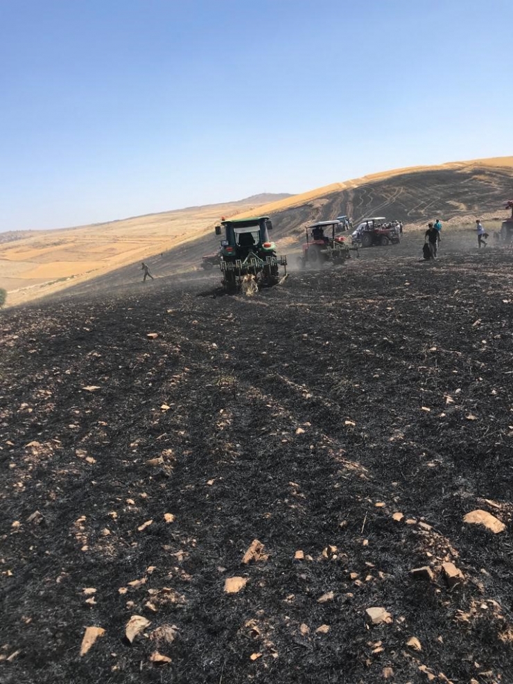 Biçerdöverden Çıkan Yangın 100 Dönümlük Buğday Tarlasını Küle Çevirdi