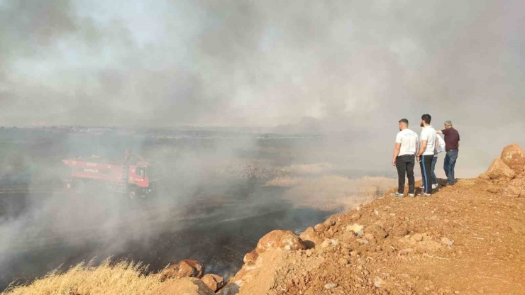 Gaziantep’te 7 Bin Dönüm Buğday Tarlası Yandı