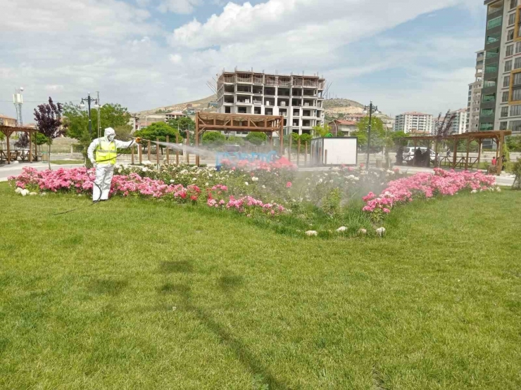 Malatya’da Haşere İle Mücadele Çalışmaları Sürüyor