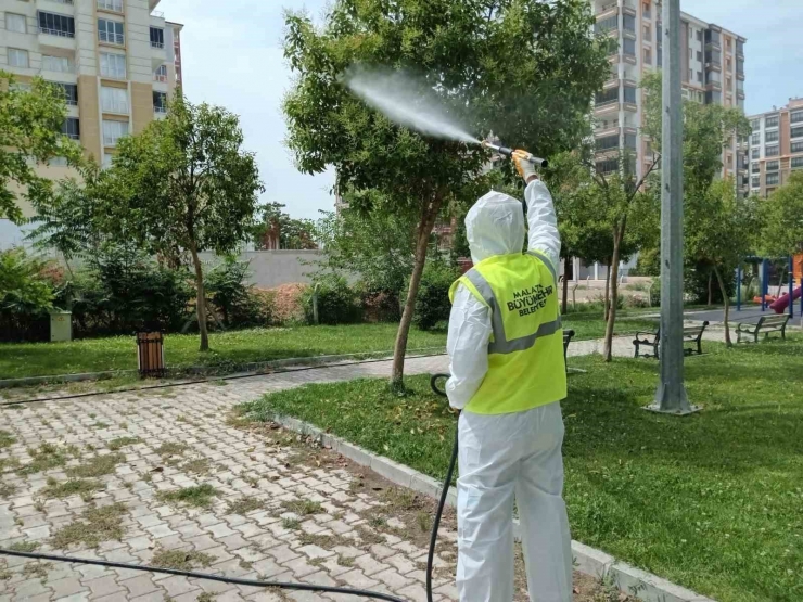 Malatya’da Haşere İle Mücadele Çalışmaları Sürüyor