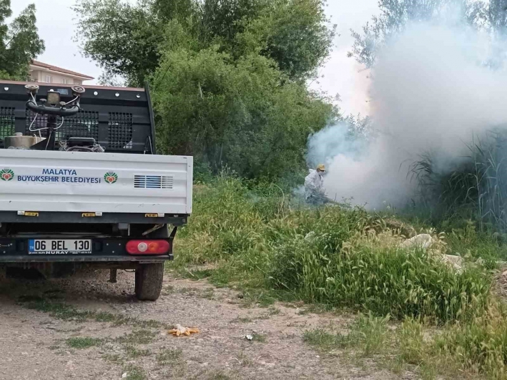 Malatya’da Haşere İle Mücadele Çalışmaları Sürüyor