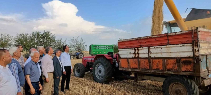 Çiftçilerle Birlikte Hububat Hasadı Yaptı