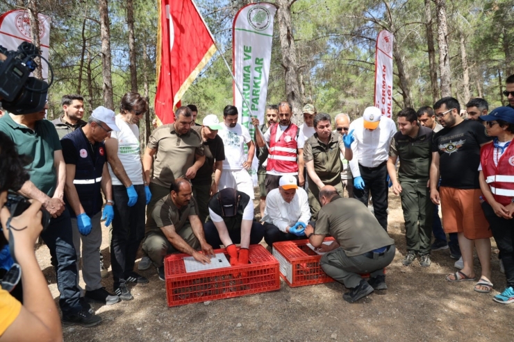 Vali Ve Belediye Başkanı Çöp Topladı