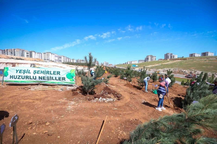 Gaziantep’te Kişi Başına Düşen Yeşil Alan Yaklaşık 13 Metrekareye Çıktı