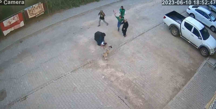 Şanlıurfa’da Sokak Köpeği Ailesiyle Yolda Yürüyen Çocuğa Saldırdı