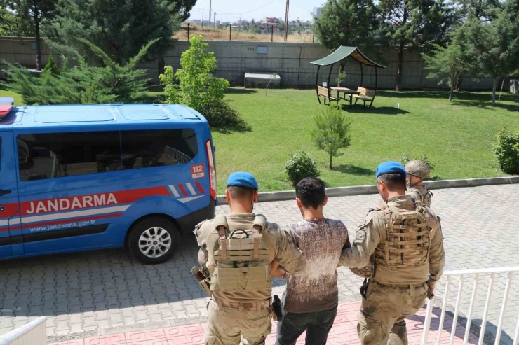 ‘silahlı Yağma’ Suçundan Aranan Firari Hükümlü Tutuklandı