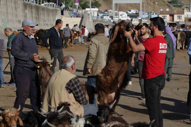 Hayvan Pazarında Hareketlilik Başladı