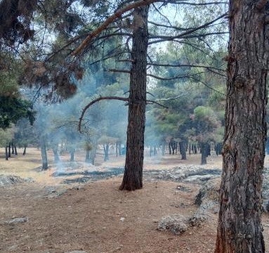 Ormanlık Alanda Çıkan Yangın Korkuttu