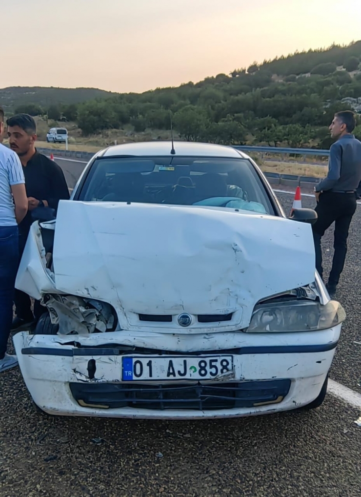 Yola Çıkan Köpek Kazaya Neden Oldu: 1 Ölü, 2 Yaralı