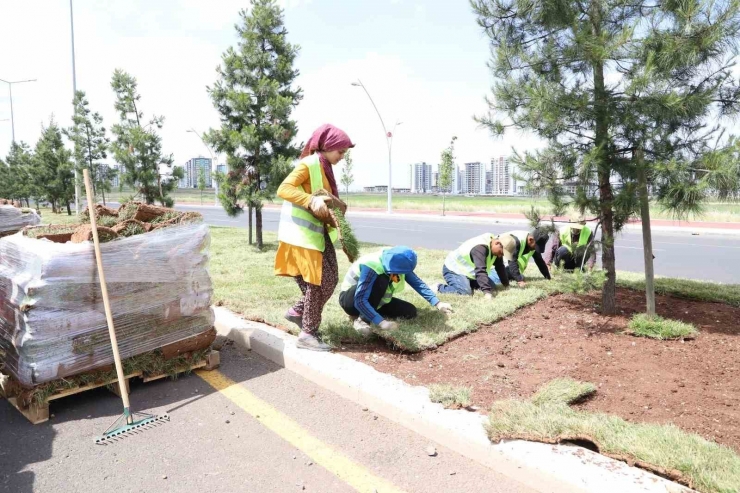 Diyarbakır’da Bulvar Yeşillendirme Çalışmaları Devam Ediyor