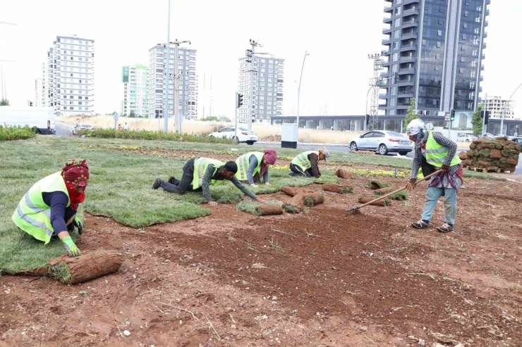 Diyarbakır’da Bulvar Yeşillendirme Çalışmaları Devam Ediyor