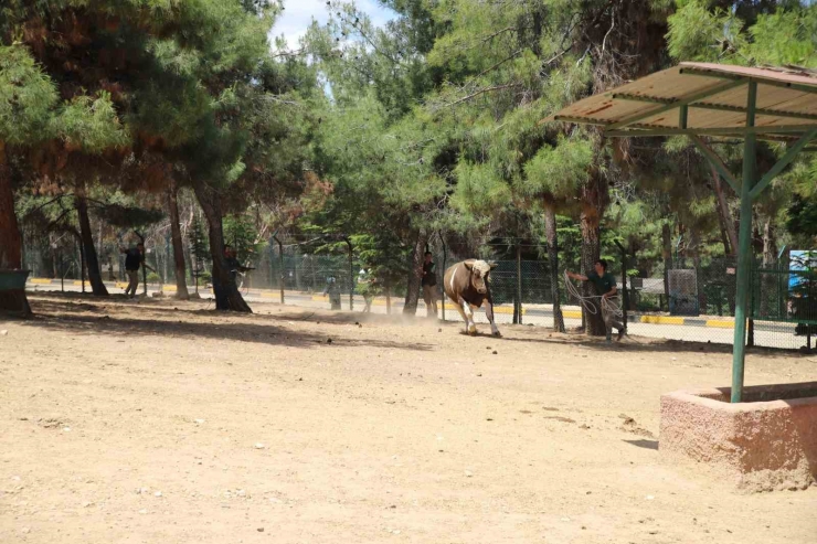 Kurban Yakalama Timi Göreve Hazır