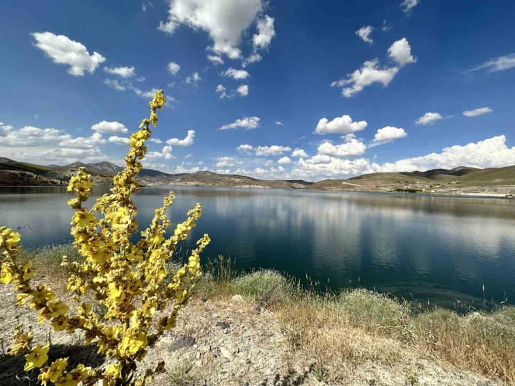 Malatya’da Barajlar Doldu, Taştı