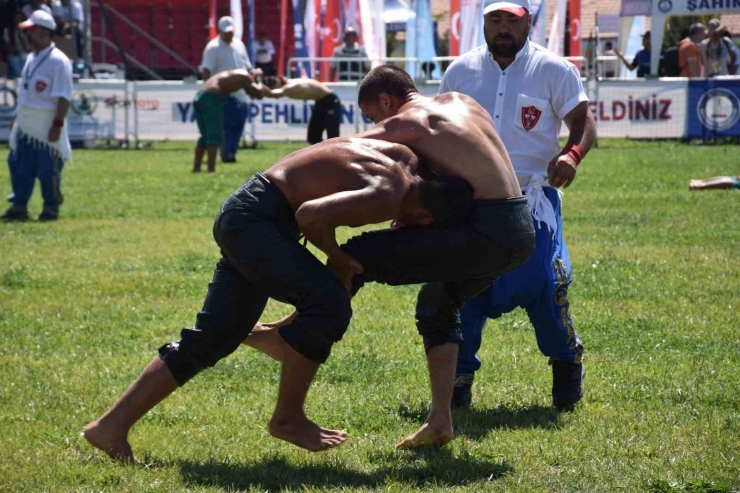 Gaziantep’te Yağlı Güreş Müsabakaları Başladı