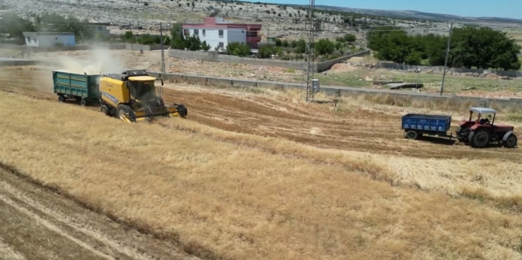 Ambarlar Doldu, Silolarda Yer Kalmayınca Buğdaylar Eski Usülle Saklanmaya Başlandı