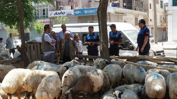 Haliliye Belediyesi Kurban Bayramında 635 Personeliyle Sahada